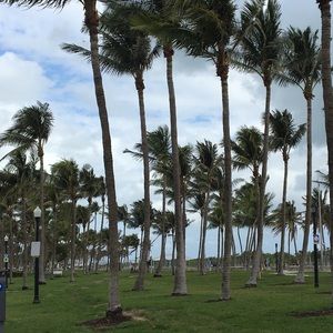 Meet your Posher, Rhaya